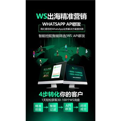 跨境新引擎 “万单哥”独立站引流新模式与浙江软件开发的力量