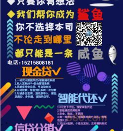 浙江零零壹软件开发供应商 时间财富网上的专业力量
